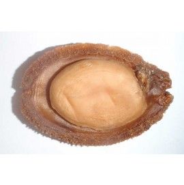 Dried Abalone