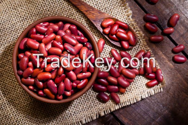 Red Kidney beans for Sale