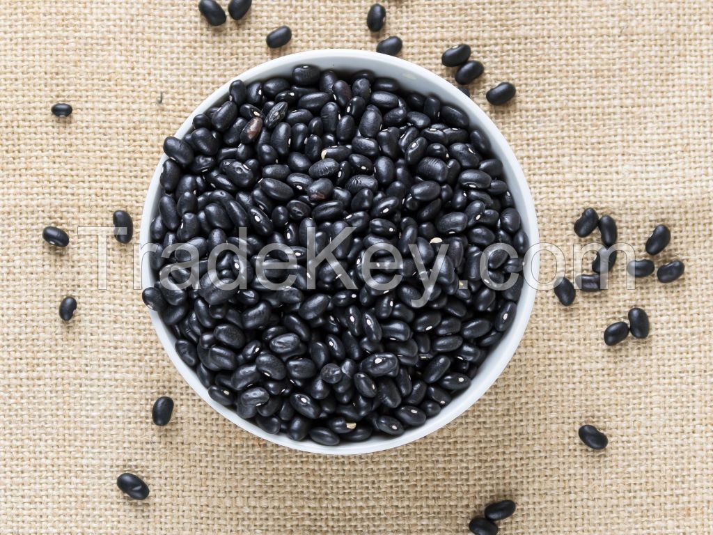 Black beans for sale