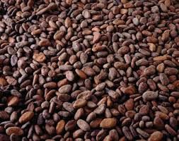 COCOA BEANS