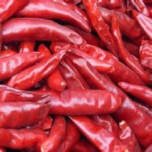 Good Quality Dry Red Chili