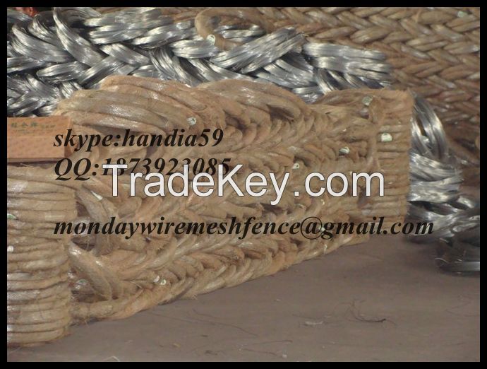Electro/Hot Dipped Galvanized Steel Wire Factory