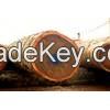 we have Ayous   logs and lumber  for  sale
