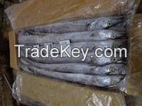 we have fresh frozen ribbon fish for sale