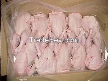 Frozen Whole Chicken From Brazil (SIF Plant), Halal Whole Chicken