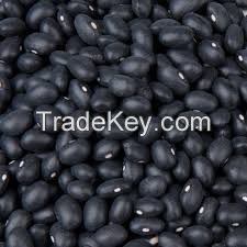 Black Beans, Dried Black Beans, Organic Black Beans in Bulk, Roasted Natural Black Beans, Black Turtle Beans