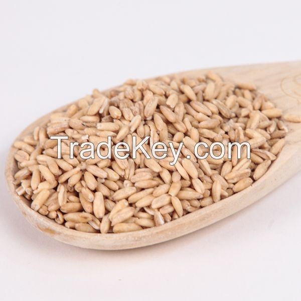 Whole Grain Oats, Organic Oat Groats, 100% Whole Grain, Non-GMO Seeds, Raw Oat Grains, Organic Whole Grain Oats