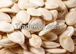 Raw Pumpkin Seeds, No Shell (Pepitas), Roasted Pumpkin Seeds (Unsalted, In Shell), Pumpkin Seeds