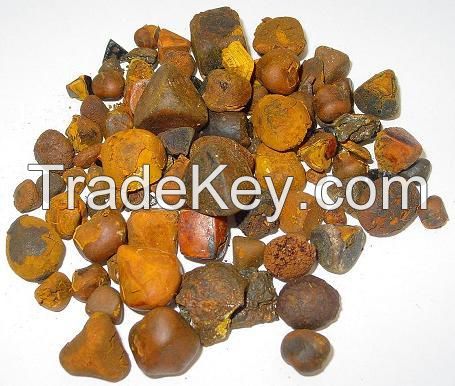 Premium Grade Gallstones for sale, Bovine Gallstones, Cow, Ox gallstones for sale