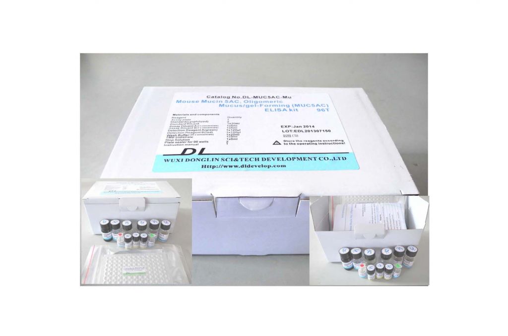 Mouse Fibroblast Growth Factor 23 (FGF23) ELISA Kit