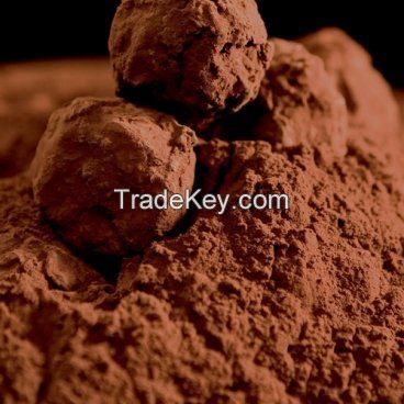 Cocoa Powder