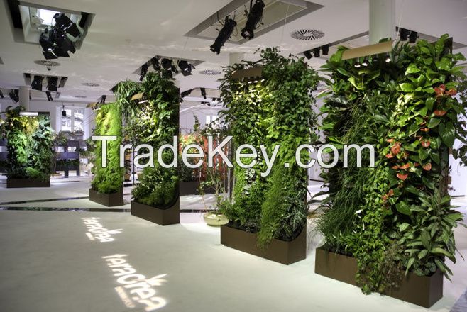 Vertical green wall plants media clean flower soil