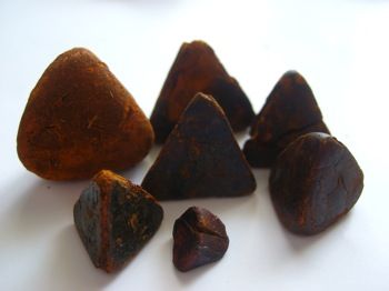 Sell Cow gallstone
