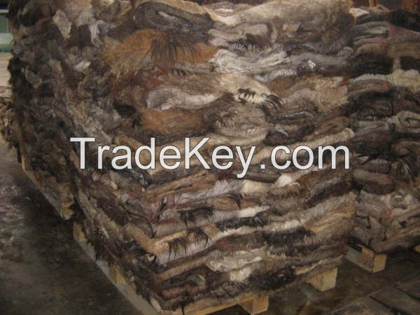 Animal skins. Wet salted Donkey, Cow hides