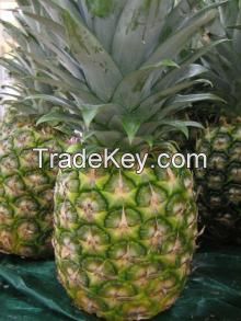 Fresh green Pineapples for sale