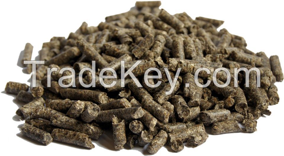 Sugar Beet Pulp Pellets for Sale