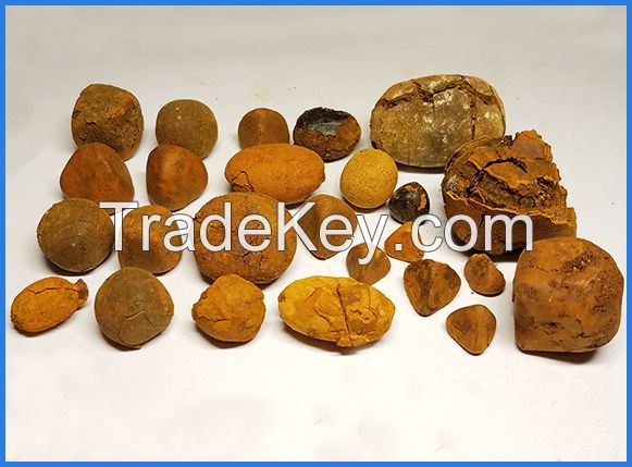 Ox Gallstones, cow gallstones for sale