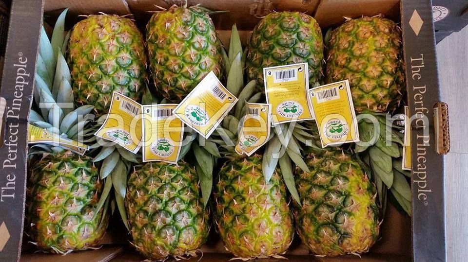 Fresh sweet MD2 pineapples for sale