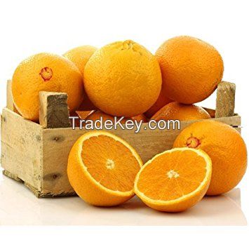 Fresh Florida / Navel Oranges for sale