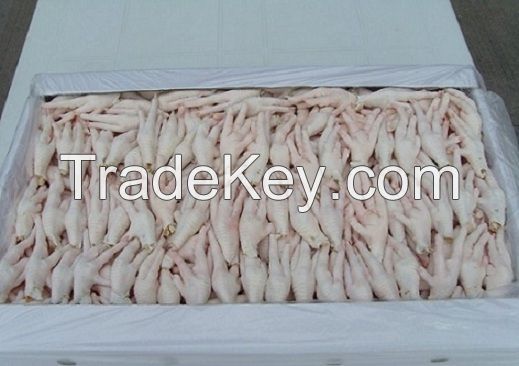 Halal Frozen Chicken Feet bulk supplies