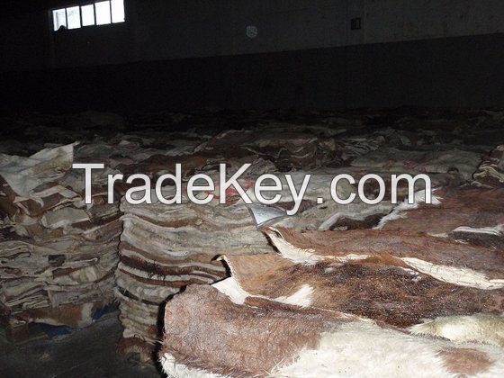 Wet and dried Salted Donkey, Cow Hides cheap sales
