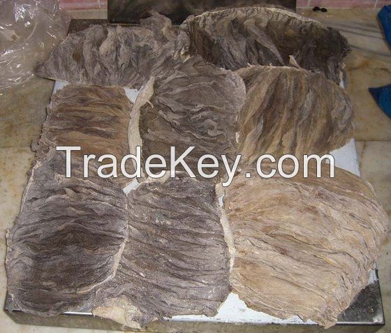 Dried-Salted Cow Omasum for sale
