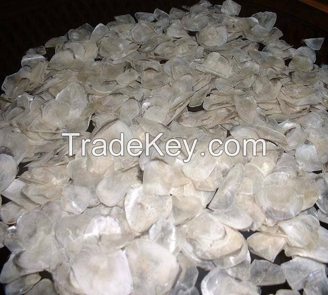 Dried fish scale for sale bulk supply