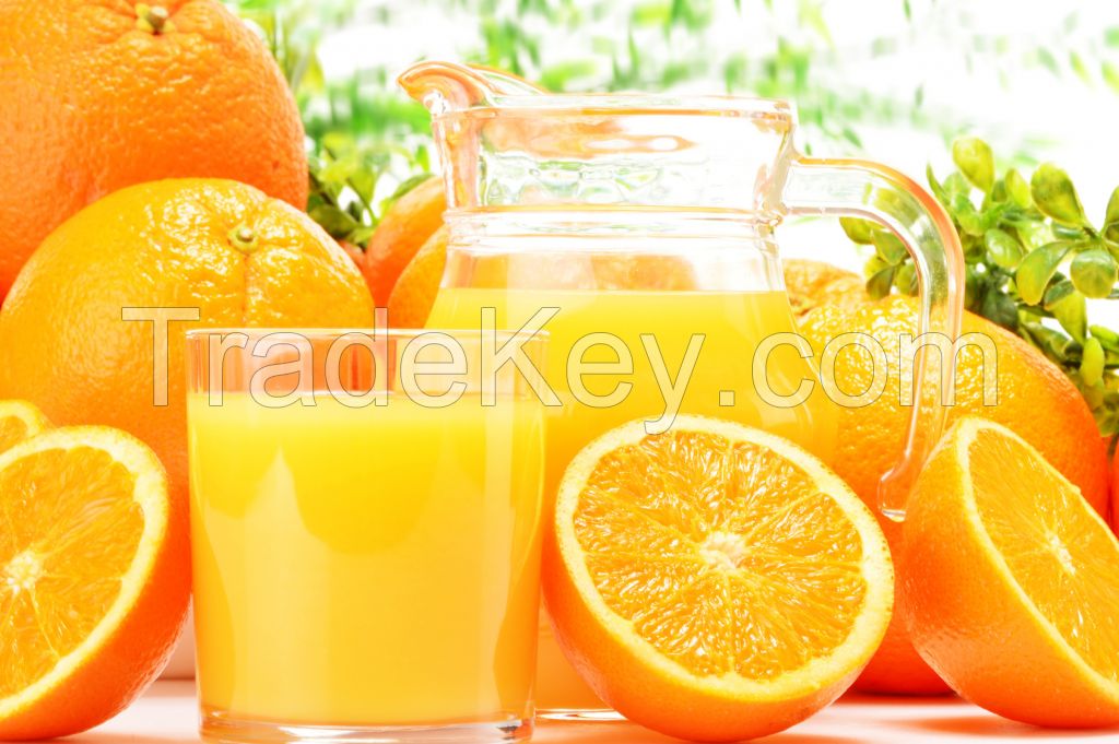 Sweet Juicy Valencia / Navel Oranges Wholesaler