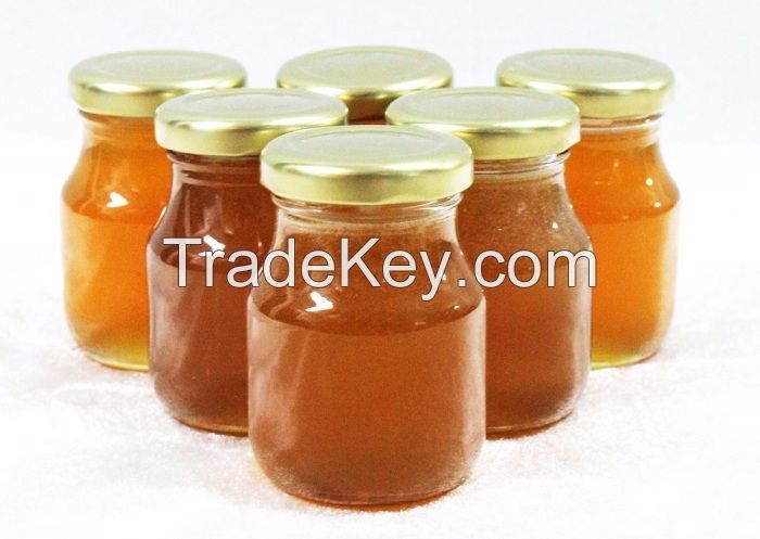 100% Pure Organic Bee Honey