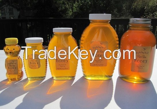 Cheap whole sale Pure Organic Bee Honey for sale