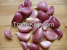 FRESH GARLIC