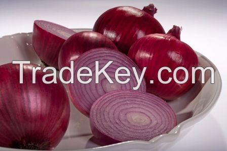 RED ONION