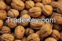 Sell Offer Walnuts And Walnuts Kernels 50% Discount