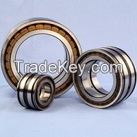 Full complement cylindrical roller bearing