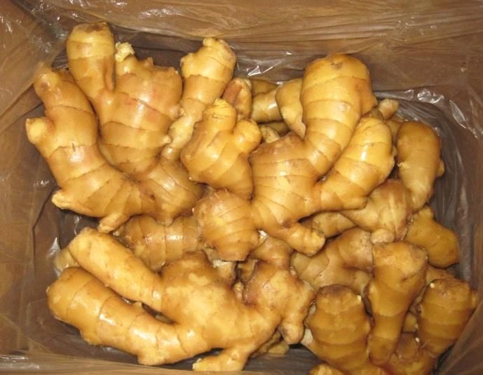 Fresh ginger and dry ginger