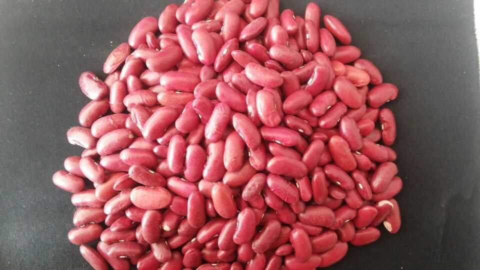 green mung, red kidney bean, white kidney bean, black kidney beans