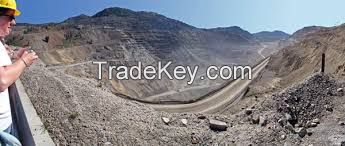 Best price Molybdenum ore concentrating