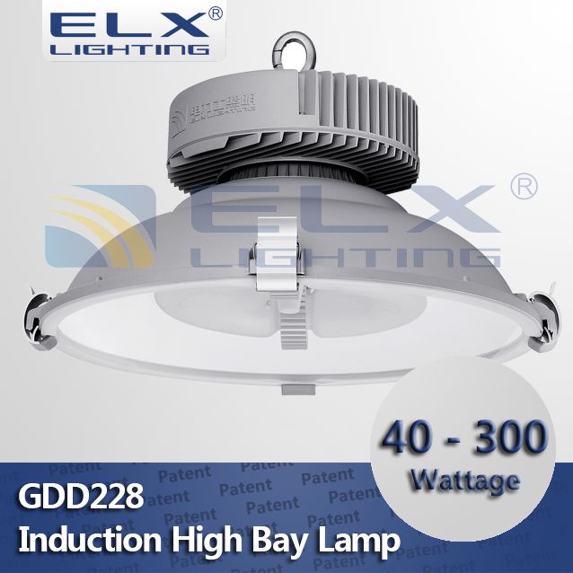 40W 60W 80W 100W 120W 150W 200W 250W 300w induction high bay light light