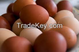 Fresh Brown Eggs