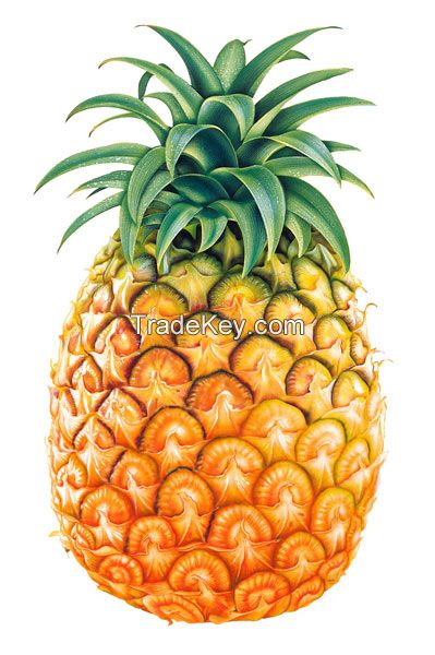 Fresh Pineapples