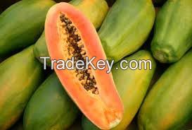 Fresh Papaya