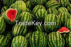 Fresh Melons