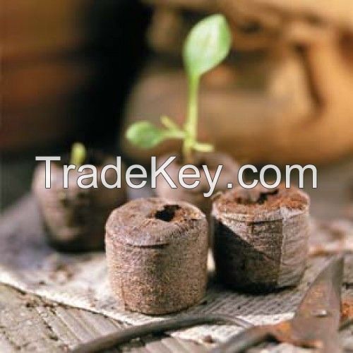 Asia Coconut Coir Pellets/ Peat Plant Pot Jiffy/ Coir Pith