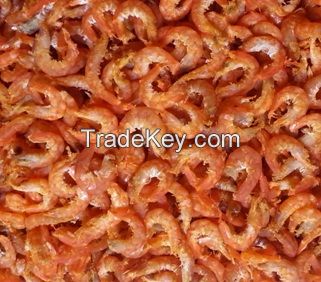 Dried shrimp with the best price and good for health