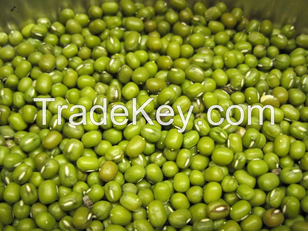 Mung beans