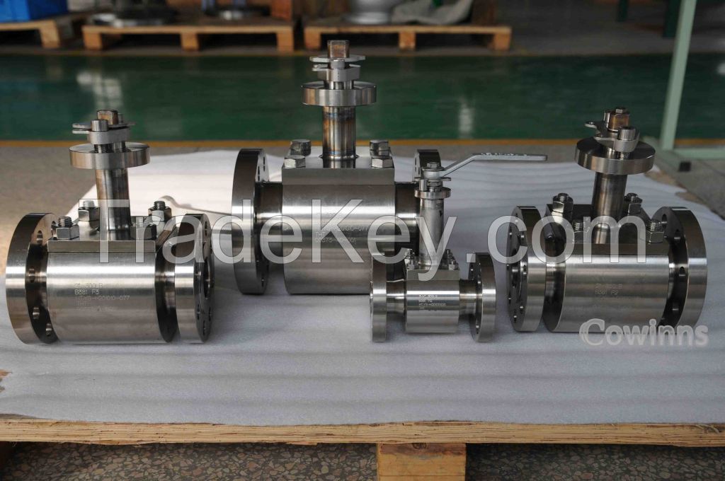 Titanium top entry ball valve