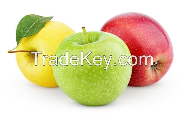 Fresh Apples ( Fuji, Gala, Red, Golden Delicious Apples)