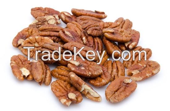 High Quality Grade A Raw Pecan Nuts / Pecan Nuts In Shell / Organic Pecan Nuts