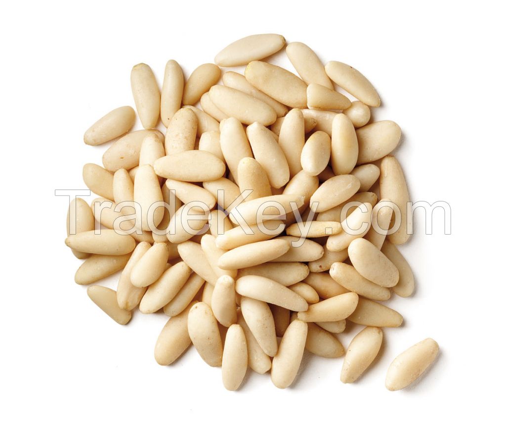 Pine Nut And Pine Nut Kernels From Thailand