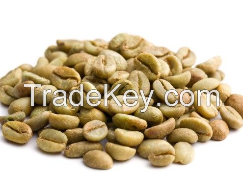 robusta coffee bean